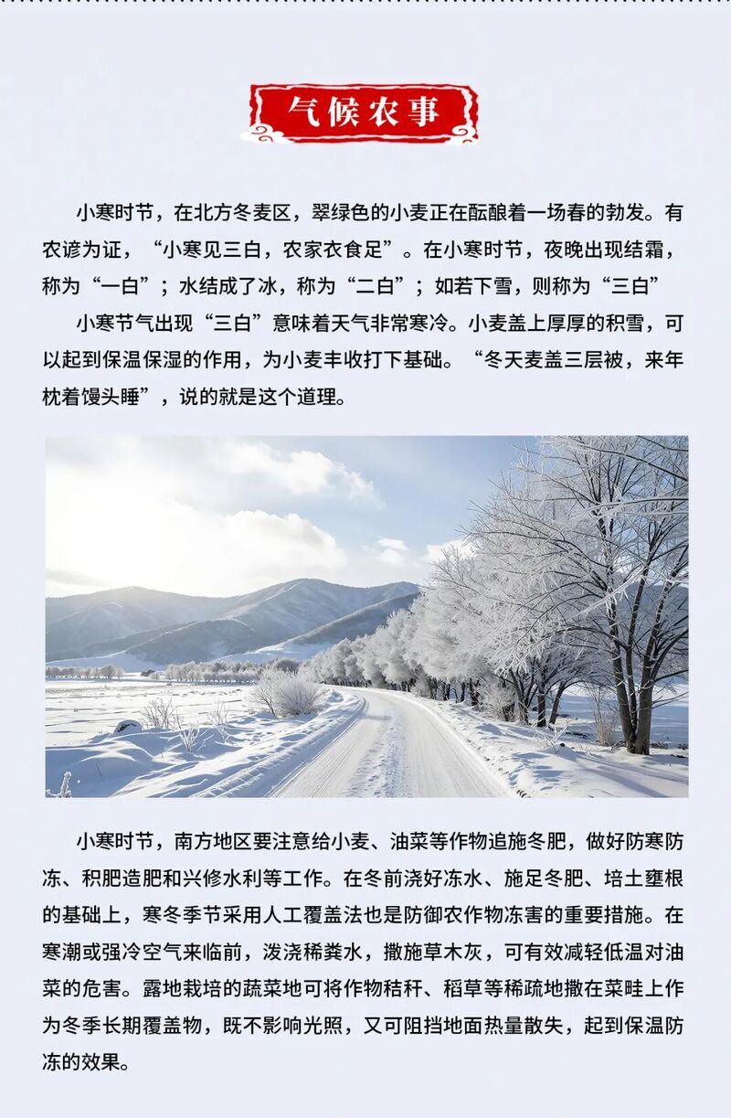 小寒.jpg