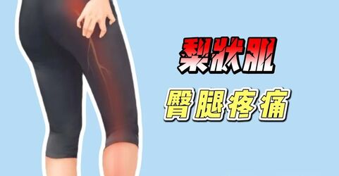 梨状肌.jpg 梨状肌.jpg